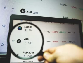 加密货币洞察：XRP鲸鱼在价格调整中表现出信心